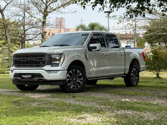 FORD F-150 5.0 V8 GASOLINA CD PLATINUM FX4 AUTOMÁTICO FORD F-150 5.0 V8 GASOLINA CD PLATINUM FX4 AUTOMÁTICO